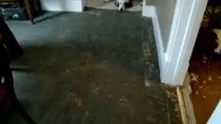 Saggy Floor from the top
