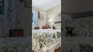 Bungalow with Detached Shop | 307403 Centre Line A, Grey Highlands, Ontario | Susan Moffat, REALTOR&reg;