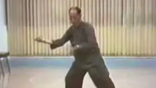 Si Gung Ip Sui demonstrating 18 Swimming Dragons | Chow Gar Southern Praying Mantis Kungfu