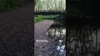 Маяк Хесета-Хед. Побережье Орегона. #шорты