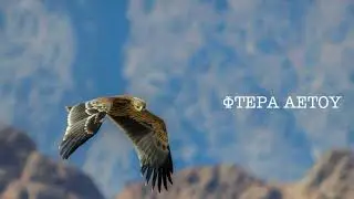 FOS- Φτερά Αετού