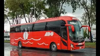 PARA TODOS LOS CONDUCTORES DE AUTOBÚS