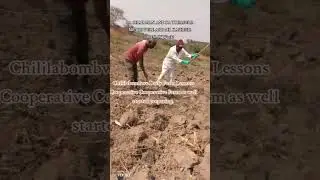 Chililabombwe Daily Farm Lessons Cooperative Cooperative Farm as well started preparing.
