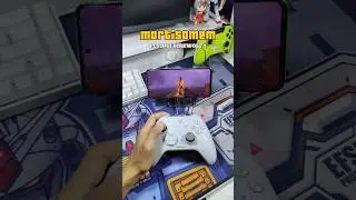 Mortisomem with Flydigi Direwolf 3 Controller