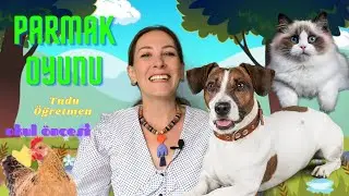 PARMAK OYUNU | Kediciğim Köpeğim Tavuğum Ne İster? | Tudu Öğretmen