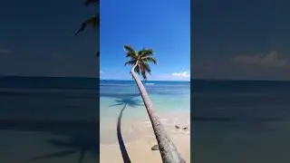 Tropical Paradise Found Las Terrenas' Stunning Beaches and Scenery