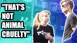 Animal rights debate - 