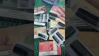 VVILD Pen/Pods