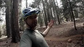 Trail feature review