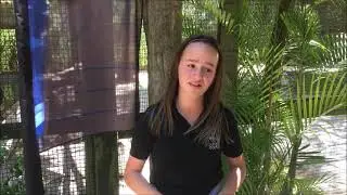 Save Our Seabirds Educational Programs