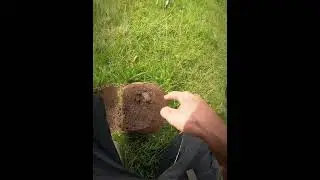 Daily Digs - What Is In The Hole Today? #metaldetecting #treasure #treasurehunt