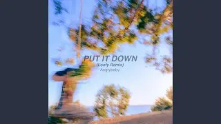 PUT IT DOWN (Loofy's Lust Remix)