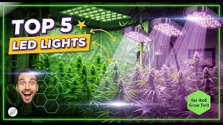 TOP 5 Best LED Light For 4x4 Grow Tent 2026