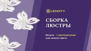 LEDCITY: