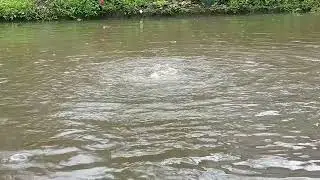 NO SOUND | CALM VISUAL