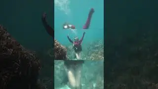 Diving photo fail!  #divephilippines #underwaterphotography #diving