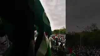 #falastine #gaza #protest #trending #pakistan #india #bangladesh #caneda #uk #usa #viwes