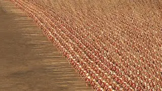 SPARTA vs PERSIAN EMPIRE - Total War ROME 2