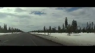 Wolves spotted along the highway in Oregon between Mt Hood and Mt Shasta