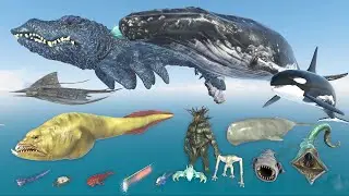 Aircraft Humpback Whale Vs 3D Epic Sea Monster Size Comparison