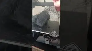 3d printer had a rats nest