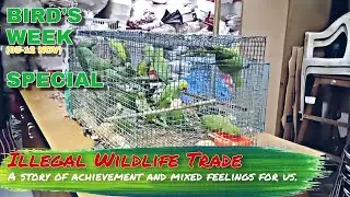 88 Indian wild animals | Rescued from illegal wildlife trade | BIRD WEEK SPECIAL | 🐾WWA🐾