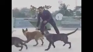 MS Dhoni- captain cool playing with his pet dog