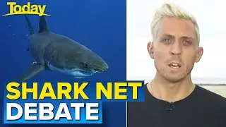 Calls for review of Gold Coast's shark nets and drumline system | Today Show Australia