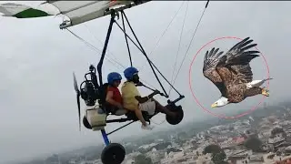 At 18,000 Feet: The Deadly Nano Trike Sky Encounter
