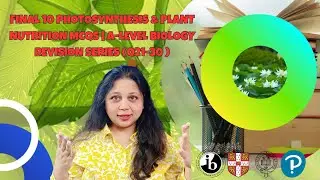 Final 10 Photosynthesis & Plant Nutrition MCQs | A-Level Biology Revision Series Q - 21 - 30