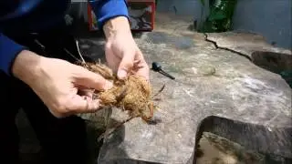 Sparks on steel wool - bonus