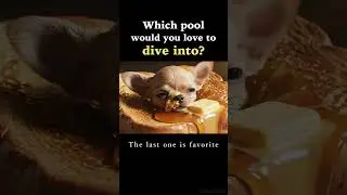 Which Food would you love to dive into?👀#ASMR #relax #sleep #shorts #cozy #softsounds #cute #animal