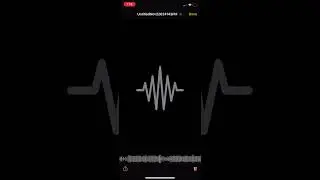 Pgrxxv83 x 385Liblacc- OPP BLOCK