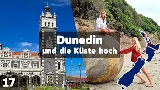 Die Fahrt zurück in den Norden | Von den Catlins nach Dunedin | Vanlife Neuseeland 17