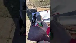Cum recoltam altoii și cum &icirc;i păstram pana la primăvară.