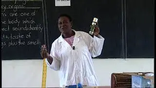 REB | P2 | Science and Elementary Technology | Unit 8 | Lesson1: Sensory Organs