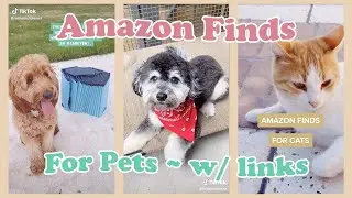 TIKTOK AMAZON FAVORITES + MUST HAVES 🐶🐱 Dogs + Cats Edition w/ Links