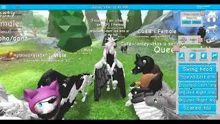 roblox funny wolves life beta momments part 2