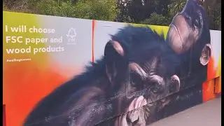 Wellington Zoo: Safeguarding wildlife and wild places