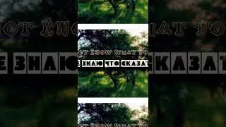 Не знаю что сказать - Do not know what to say - My life is in verse - Моя жизнь в стихах#shorts