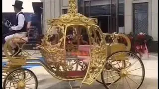 drive horse carriage ride to take part in activity