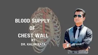 Blood supply of chest wall? branches of internal thoracic artery? #thoraxanatomy