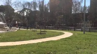 Grand Opening of the Johnny Steele Dog Park