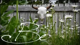 Be | Short Film |  Mindfulness the art of being in the moment