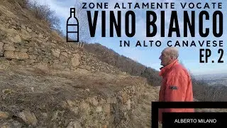 Zone ALTAMENTE vocate per la VITICOLTURA [ EP.2 ] | Alberto Milano