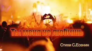 Ты меня не любишь