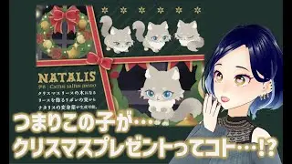 【リヴリー】えっ　今日からリヴリーアイランドでもネコちゃん愛でていいのか！！【サンタクロースを待つ島】