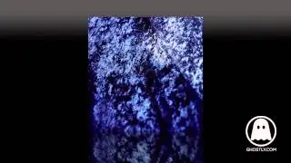 Fort Romeau - Insides