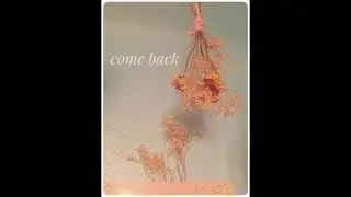 Come Back - Mae Bradley (Original)