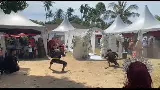 Seni silat bunga kenduri kahwin di temoyong(buah parang2) 